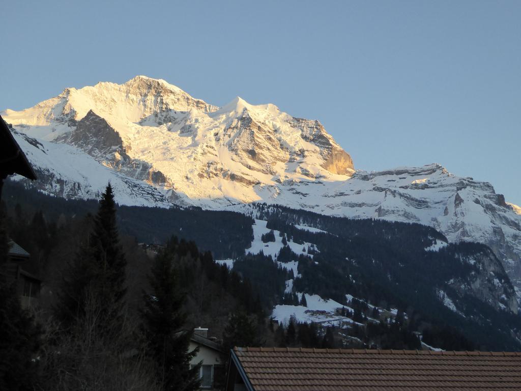 Chalet Gerbera Wengen Quarto foto